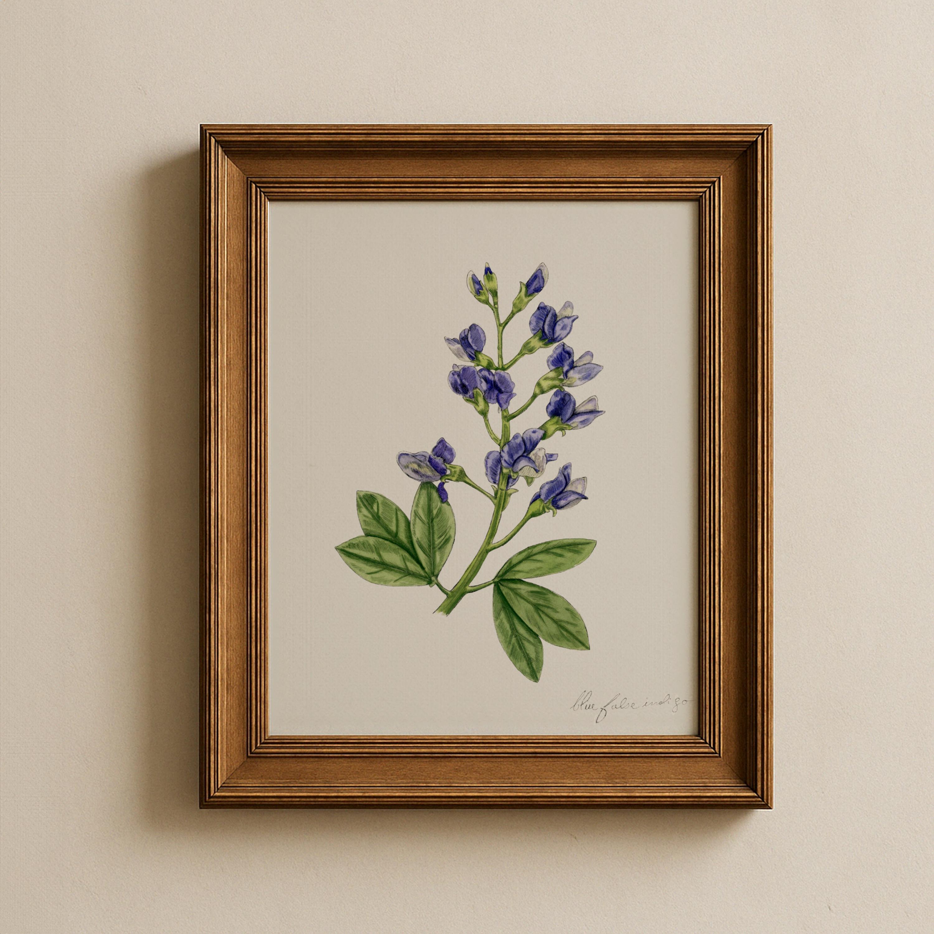 Blue False Indigo Print