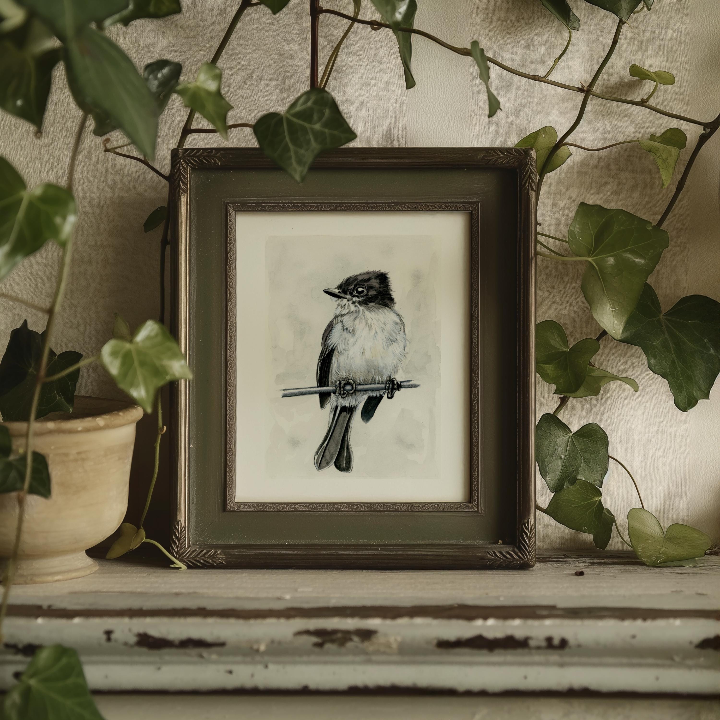 Eastern Kingbird Print