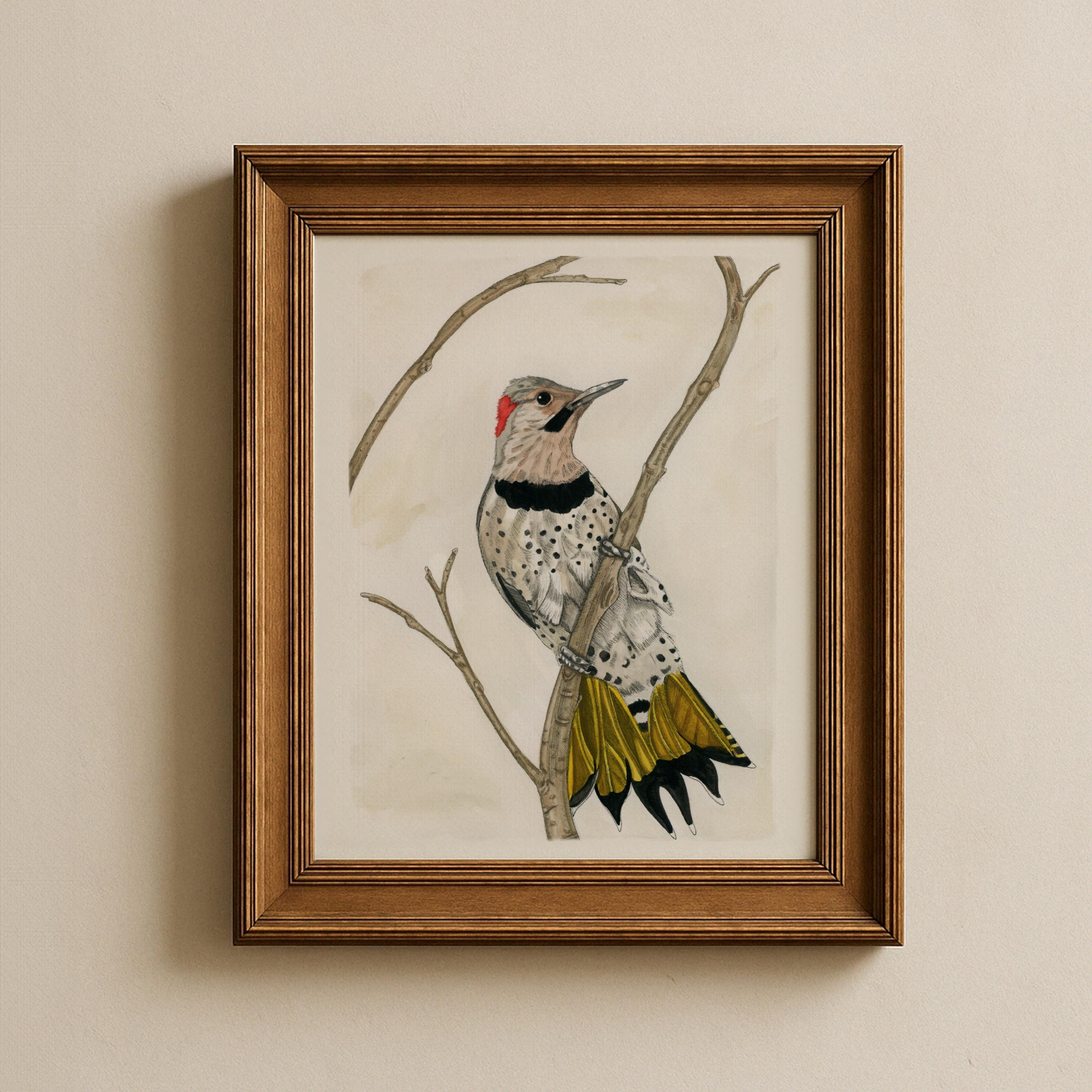 Northern Flicker Print