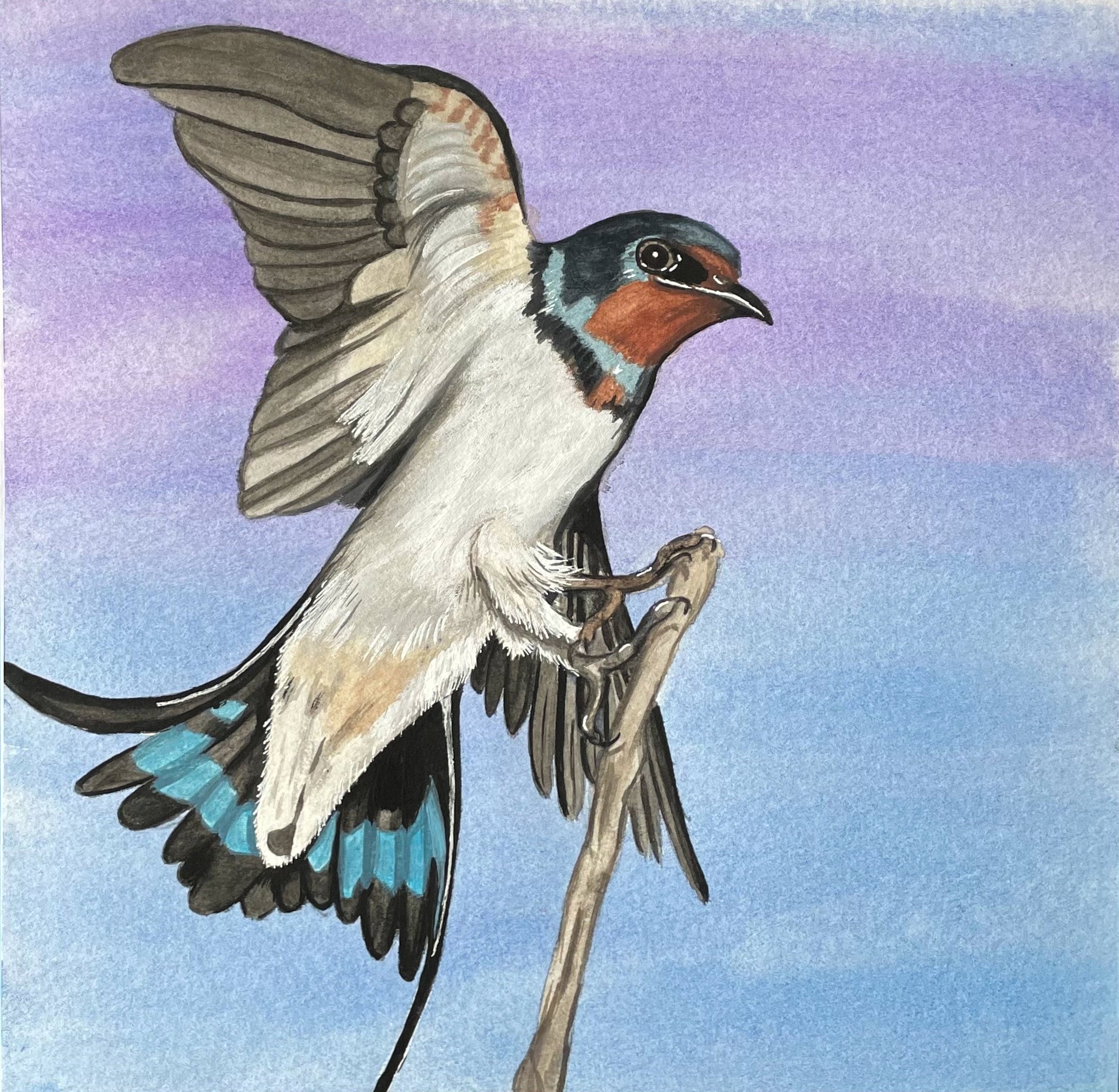 Limited Edition "Evening Flight" Print